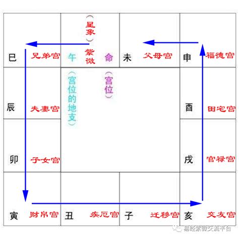 天同|紫微斗数——天同星十二宫详解